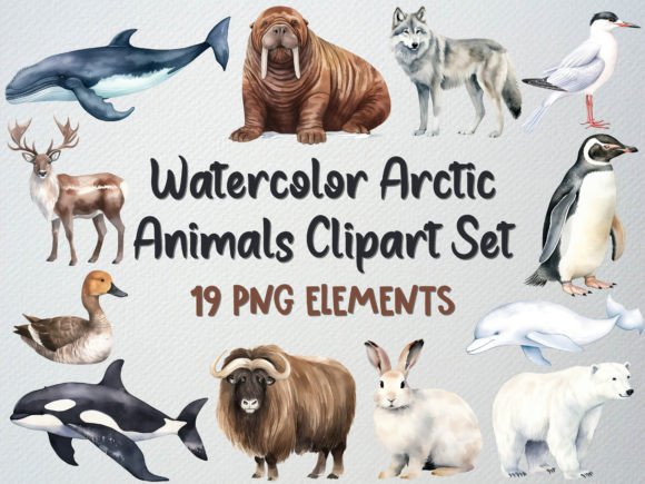 Download Watercolor Arctic Animals Clipart Set - Set Collection